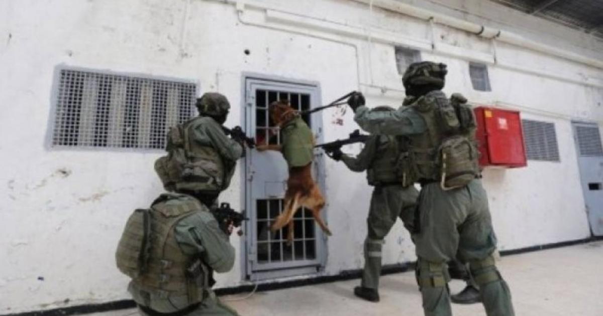إدارة سجون الاحتلال تنفي التوصل لتفاهمات مع الأسرى الفلسطينيين | وكالة شمس نيوز الإخبارية