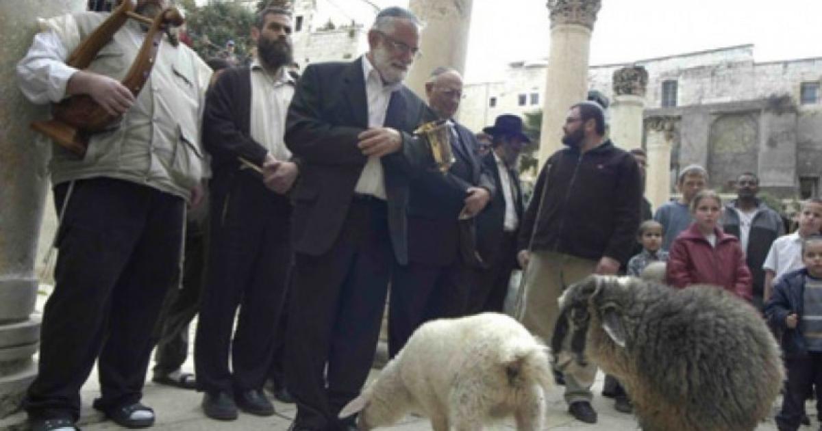 الأزهر يحذر من إقامة قرابين المستوطنين في المسجد الأقصى | وكالة شمس نيوز الإخبارية