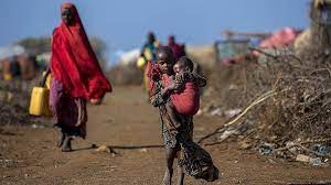 الأمم المتحدة تدق ناقوس الخطر: الصومال على شفا المجاعة منتصف2023