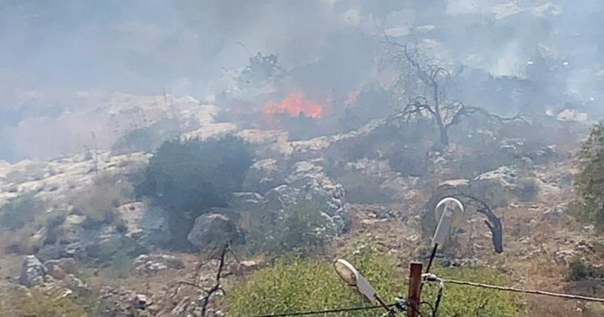 مستوطنون يحرقون محاصيل زراعية في ترمسعيا | وكالة شمس نيوز الإخبارية