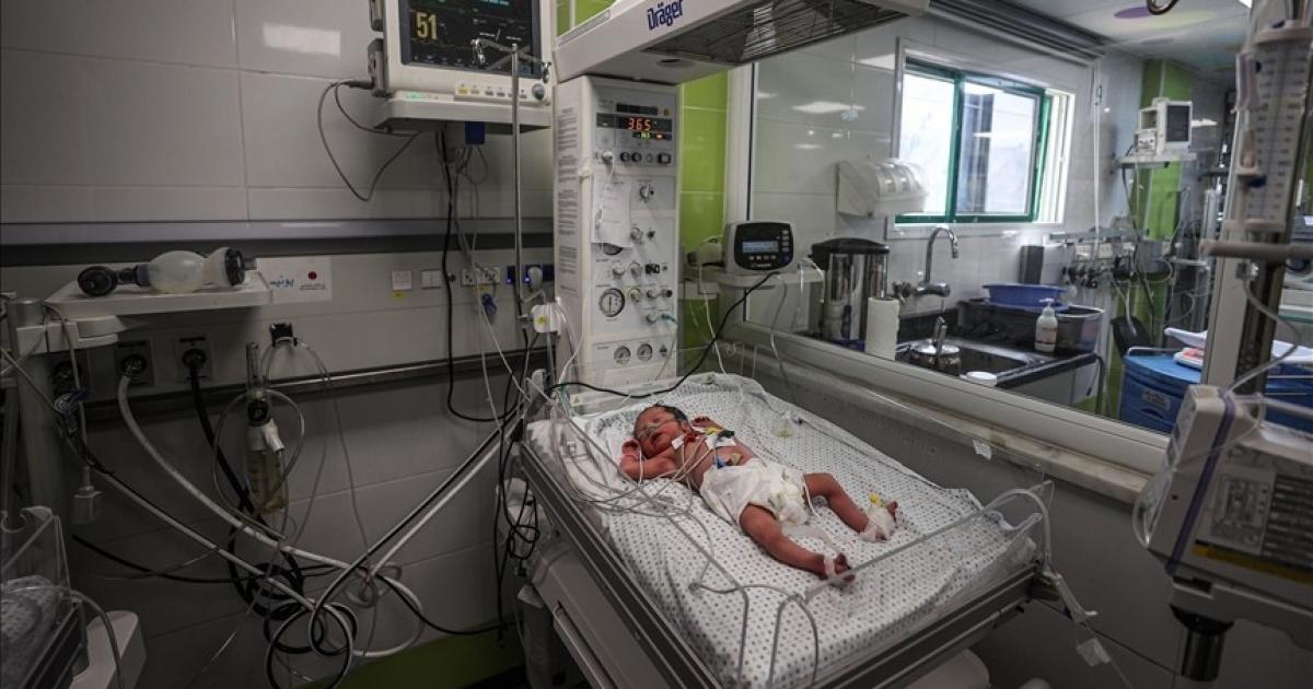 "الأونروا": نكافح لرعاية أكثر من 50 ألف حامل في غزة | وكالة شمس نيوز الإخبارية - Shms News |
