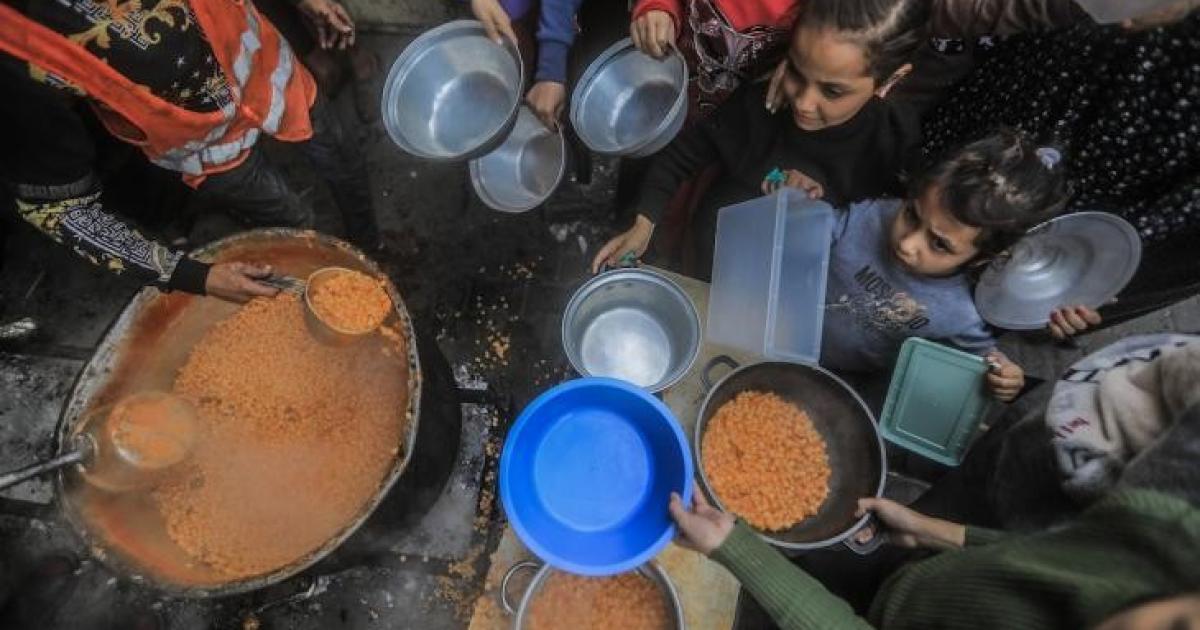 الصحة العالمية: الجوع في غزة يضعف دفاعات الجسم ويسبب الأمراض | وكالة شمس نيوز الإخبارية - Shms News |