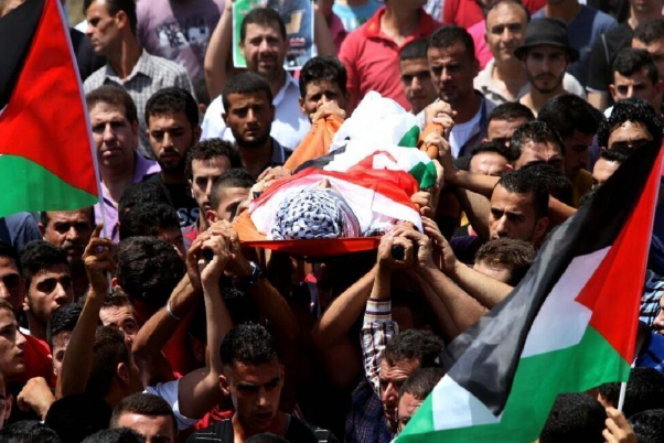 اليوم الـ113.. استمرار العدوان على غزة والصهاينة يتجاهلون صوت العدل الدولية