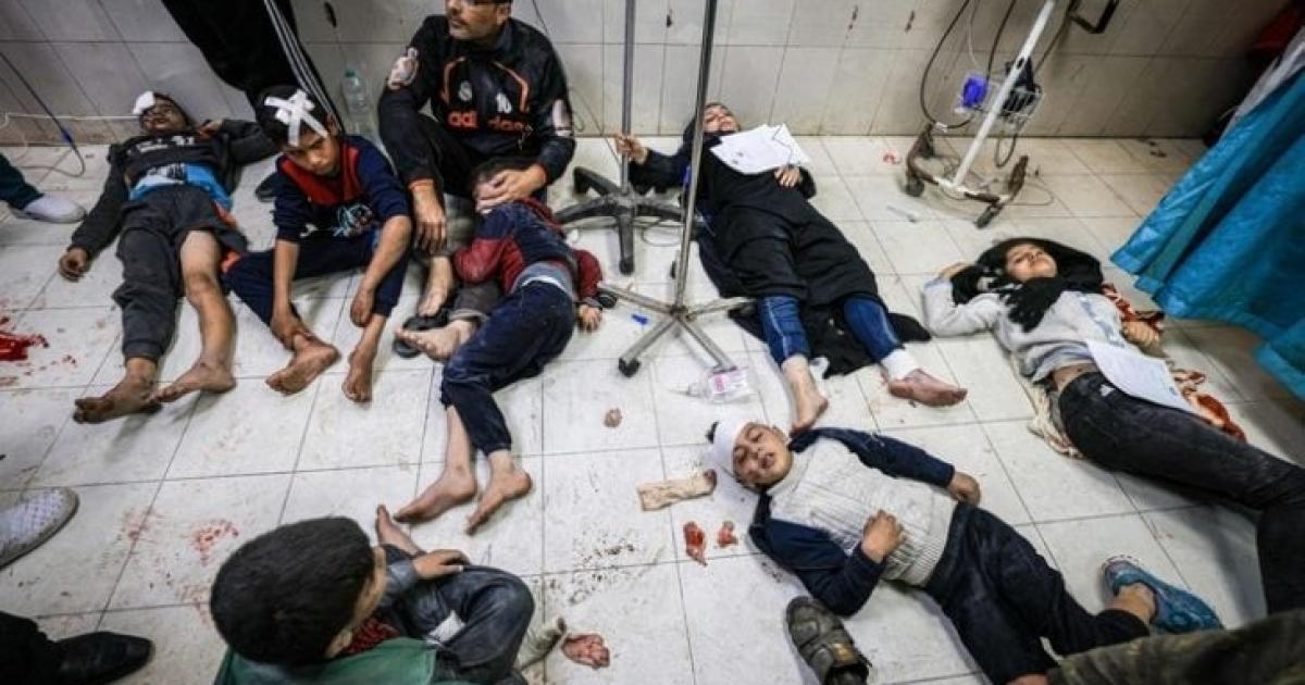 مسؤول أممي: جثث في الشوارع والوضع الإنساني كارثي شمال غزة | وكالة شمس نيوز الإخبارية - Shms News |