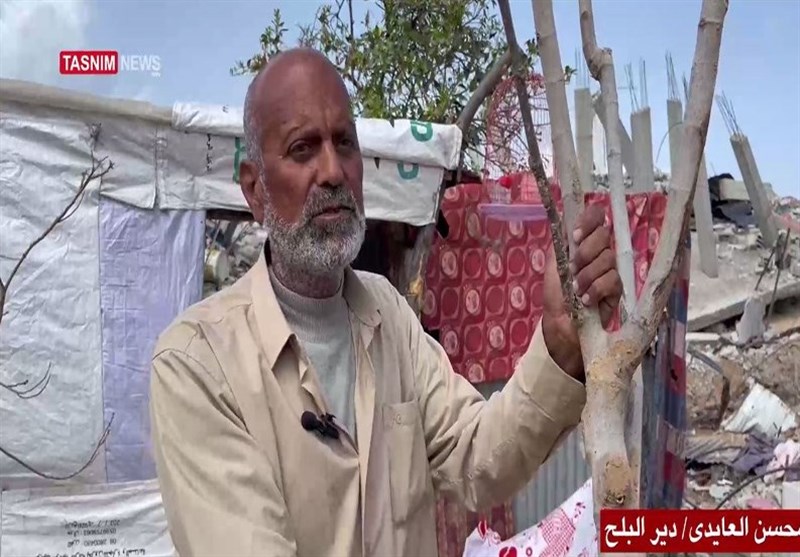 النازحون الفلسطینیون یصرون على البقاء فی أراضیهم ویفشلون مخطط التهجیر- الأخبار الشرق الأوسط