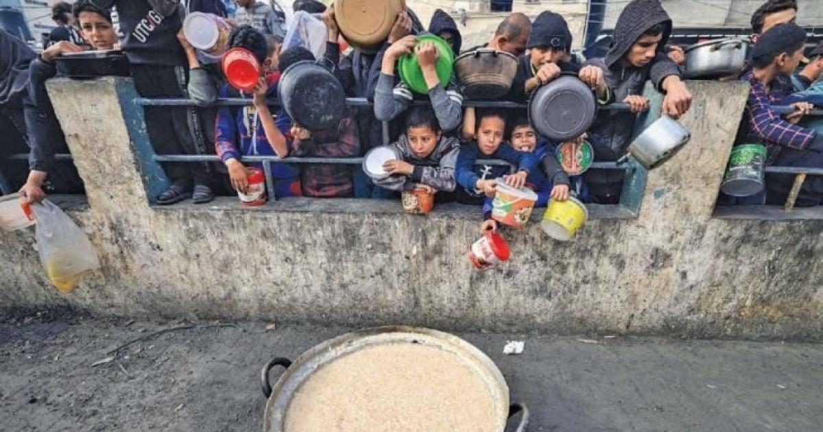 "اليونيسيف": 2.3 مليون فلسطيني بغزة على حافة الدمار والمجاعة | وكالة شمس نيوز الإخبارية - Shms News |
