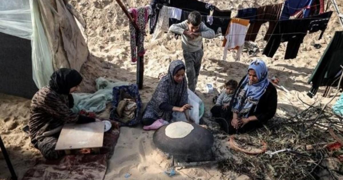 برنامج الأغذية: نصف سكان قطاع غزة يُعانون الجوع | وكالة شمس نيوز الإخبارية - Shms News |