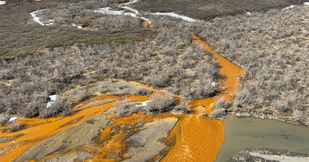 لماذا تتحول بعض أنهار ألاسكا إلى اللون البرتقالي؟