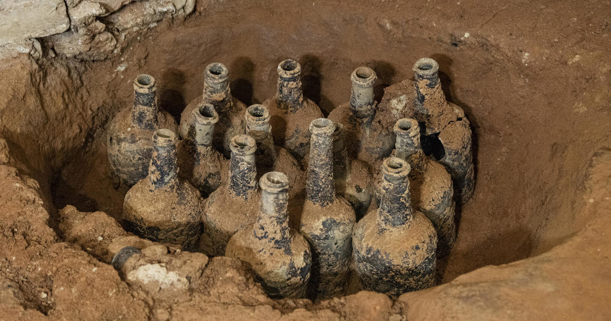 تم العثور على المزيد من زجاجات الكرز في منزل جورج واشنطن في ماونت فيرنون في اكتشاف "مذهل".