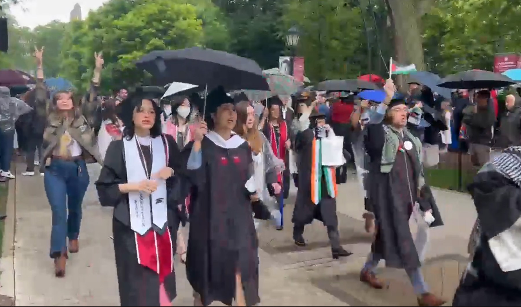 طلاب شيكاغو ينظمون وقفة احتجاجية من أجل غزة |  غزة