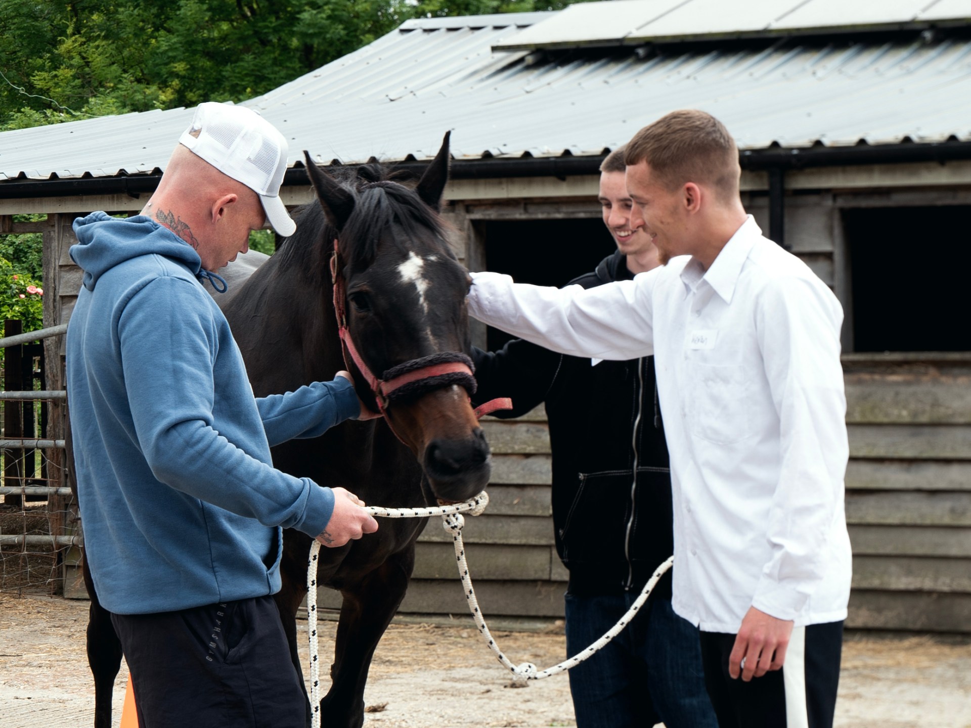 Could therapy horses be the solution to Britain’s prison crisis? | Prison