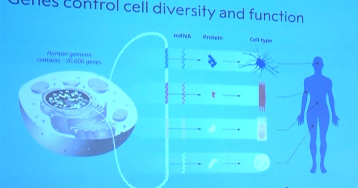 اكتشاف MicroRNA في الديدان يؤدي إلى جائزة نوبل في الطب