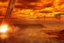 An illustration of a blazing asteroid impact to the left of the image with volcanoes in the distance and large birds flying under a red, ashy sky.