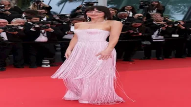 أجرأ إطلالات مهرجان كان 2025 قبل انطلاق الدورة الجديدة