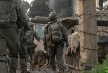 1002133529 1776528303 Jpg