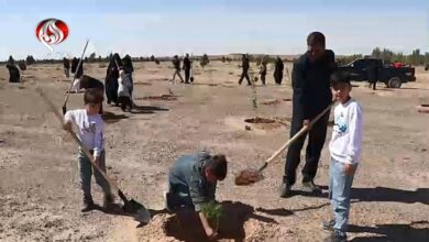 الشعب الإيراني يتحدى العدوان بمواصلة الأمل والإعمار والمسيرات