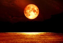 العالم على موعد مع