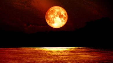 العالم على موعد مع