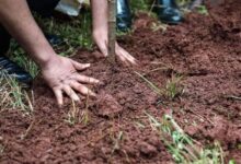 نائب رئيس مجلس الشورى الإيراني: مفتاح هرمز بيد إيران ورفض لمزاعم التفاوض مع واشنطن