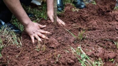 نائب رئيس مجلس الشورى الإيراني: مفتاح هرمز بيد إيران ورفض لمزاعم التفاوض مع واشنطن