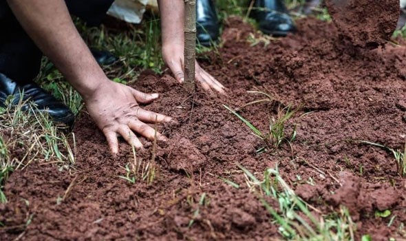نائب رئيس مجلس الشورى الإيراني: مفتاح هرمز بيد إيران ورفض لمزاعم التفاوض مع واشنطن