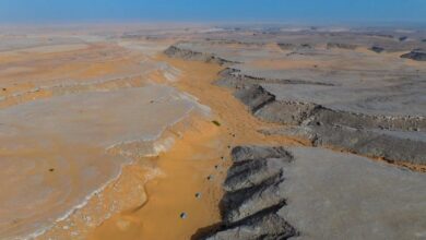 تدشين مسار كندة السياحي في محمية عروق بني معارض