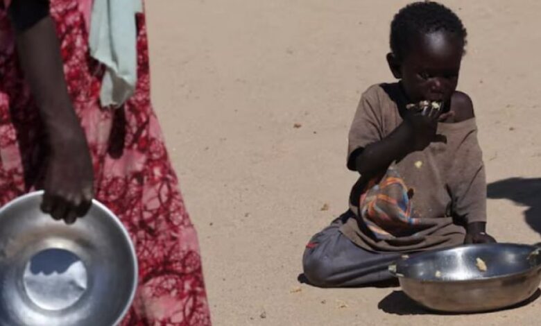 تقرير أممي يحذر: الحروب تدفع العالم نحو أزمة غذاء حادة