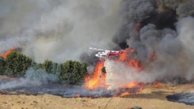 بسبب العدوان الإسرائيلي.. البابا يرسل مساعدات وأدوية إلى لبنان
