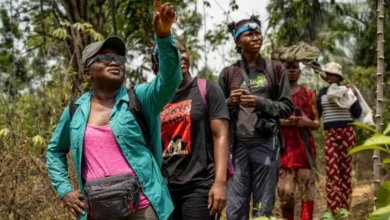 ست نساء يفوزن بجائزة جولدمان لعام 2026، أعلى جائزة بيئية في العالم | أخبار البيئة