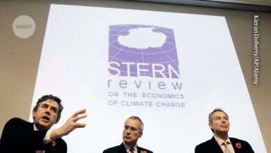 "صافي الصفر" ليس جنونًا: التكاليف الاقتصادية المذهلة لتغير المناخ