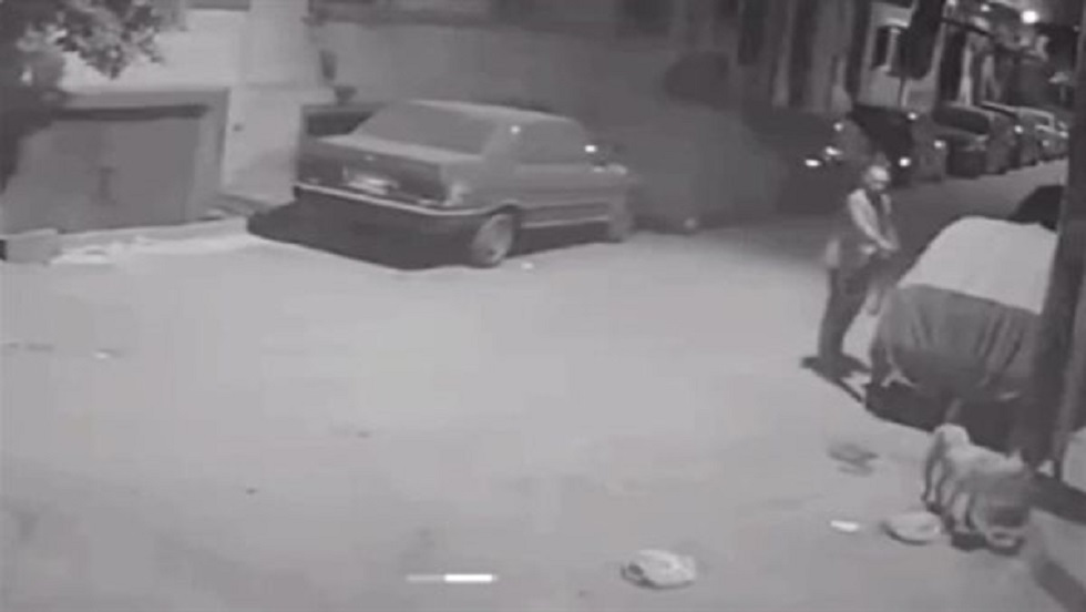 عاجل | مصر.. مدير بنك شهير يقتل كلبا رميا بالرصاص ويثير ردود فعل غاضبة - صورة مميزة صورة مميزة: عاجل | مصر.. مدير بنك شهير يقتل كلبا رميا بالرصاص ويثير ردود فعل غاضبة