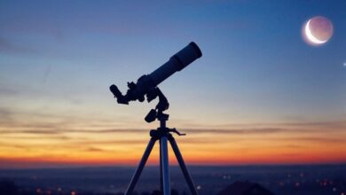 بالفيديو : قاليباف ينشر صورته وهو يقف أمام مقاعد الطائرة التي تضم الوفد المرافق وقد وضع عليها صور وحقائب الاطفال الشهداء في مدرسة ميناب