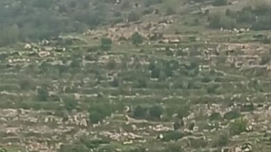 غارات على النبي شيت والشعرة في بعلبك