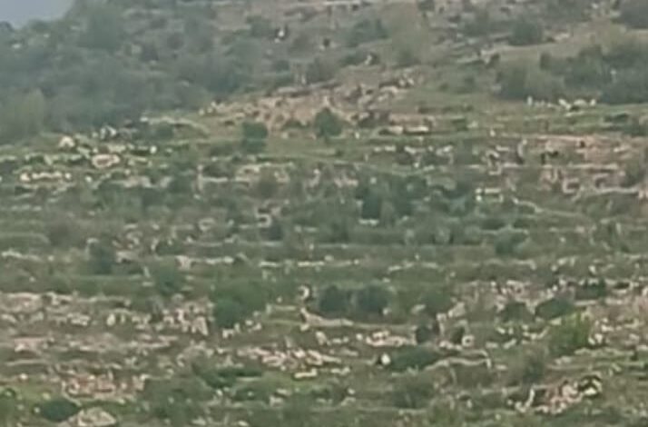 غارات على النبي شيت والشعرة في بعلبك