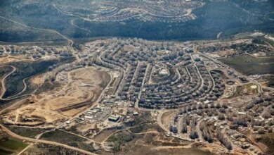 06121337174316190383237743303432 Jpg