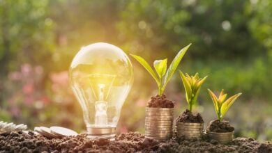 في اليوم العالمي للإبداع والابتكار 2026: نحو نموّ مستدام عبر الابتكار الأخضر