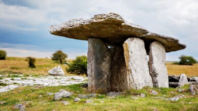 قبل 5000 عام، انهارت أوروبا: اكتشف علماء الوراثة ما حدث