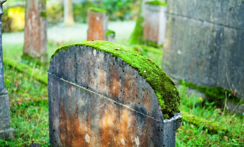 قطعة من الطحالب ساعدت المحققين في محاكمة عصابة سرقة القبور: ScienceAlert