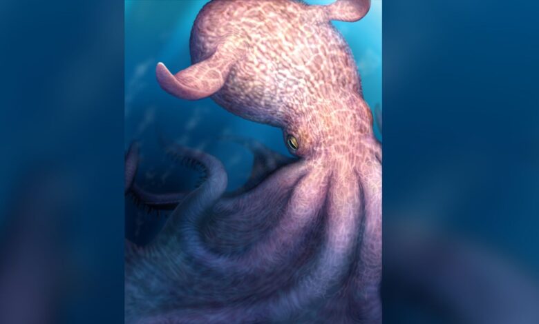 كان الأخطبوط "كراكن" الذي عاش في زمن الديناصورات من الحيوانات المفترسة التي يبلغ طولها 62 قدمًا في المحيط