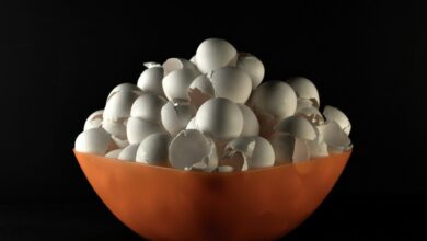 لا ترمي قشور البيض.. استخدميها في مطبخك وحديقتك لنتيجة مضمونة
