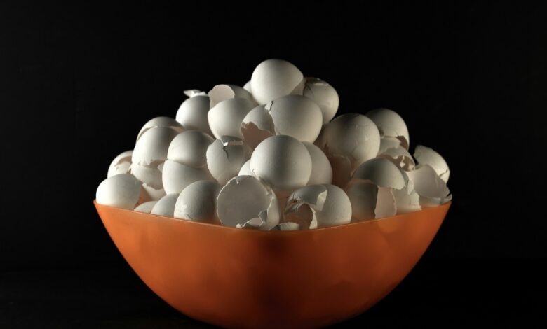 لا ترمي قشور البيض.. استخدميها في مطبخك وحديقتك لنتيجة مضمونة