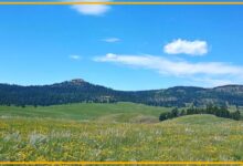 لقد بدأ الحفر في موقعنا المقدس بي سلا، مما يمثل سابقة خطيرة لأراضي السكان الأصليين في جميع أنحاء البلاد. يجب أن تتوقف. | الدكتورة فاليريا النسر الكبير