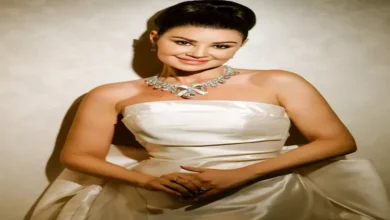 لماذا اختارت أروى جودة اللون الفضي لإطلالتها في مهرجان أسوان؟