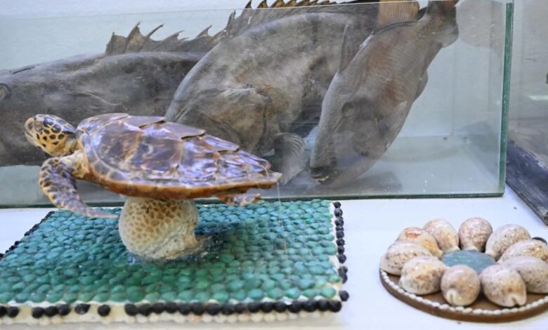 متحف فرسان البحري.. وجهة ثقافية وسياحية تروي قصة الإنسان مع البحر