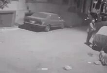 مصر.. مدير بنك شهير يقتل كلبا رميا بالرصاص ويثير ردود فعل غاضبة