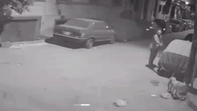 مصر.. مدير بنك شهير يقتل كلبا رميا بالرصاص ويثير ردود فعل غاضبة