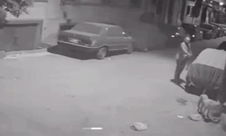 مصر.. مدير بنك شهير يقتل كلبا رميا بالرصاص ويثير ردود فعل غاضبة