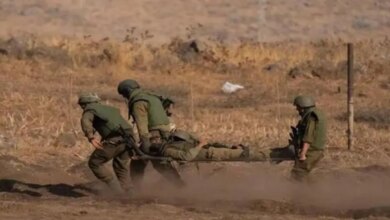 1776520816 Ltfx2 Jpg