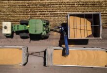 موجات حر غير مسبوقة تقوّض إنتاج الغذاء في العالم