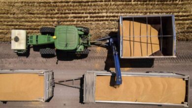 موجات حر غير مسبوقة تقوّض إنتاج الغذاء في العالم